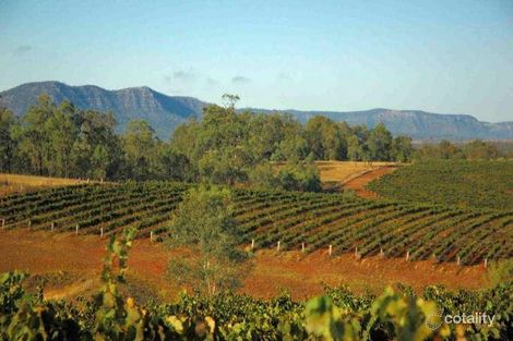 162 Old North Rd, Pokolbin, NSW 2320