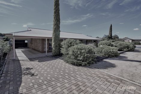 Property photo of 13 Petch Street Loxton SA 5333