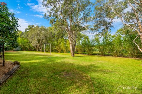 Property photo of 53 Guara Grove Pimpama QLD 4209