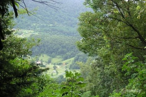 Property photo of 616 Tomewin Mountain Road Currumbin Valley QLD 4223