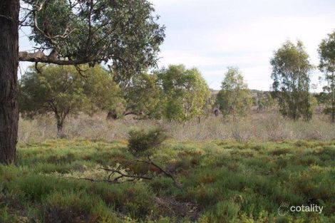 Property photo of 3919 Murraylands Road Blanchetown SA 5357