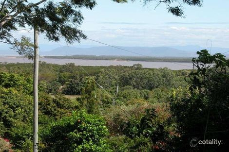 Property photo of 31 Caprioglio Road Conway QLD 4800