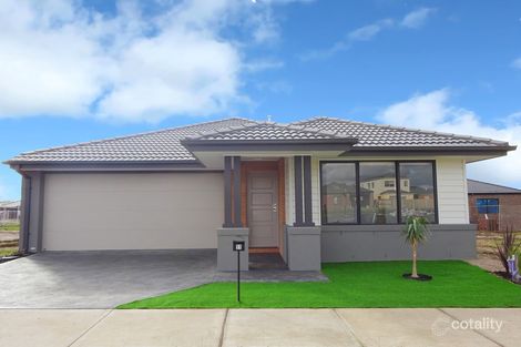 Property photo of 11 Roseneath Way Mickleham VIC 3064