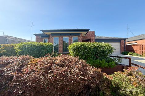 8 Sandridge St, Leopold, VIC 3224