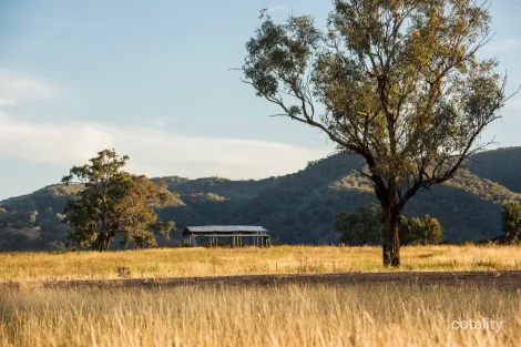 Property photo of 188 Broadhead Road Spring Flat NSW 2850