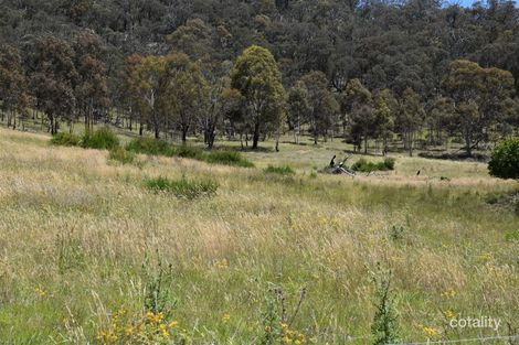 441 Bingo-Tice Rd, Omeo, VIC 3898