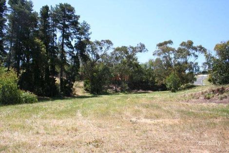 Property photo of 3 Warner Court Donvale VIC 3111
