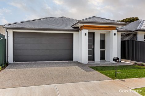 Property photo of 64 Lewis Street Brighton SA 5048