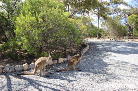 Property photo of 9 Grimm Road Coffin Bay SA 5607