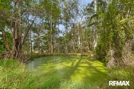 Property photo of 158 Thrushs Road Dulong QLD 4560