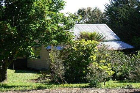 Property photo of 36 Old Main Road Beech Forest VIC 3237