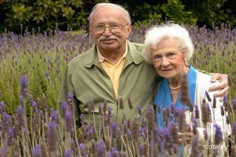 65 Koroit St, Warrnambool, VIC 3280