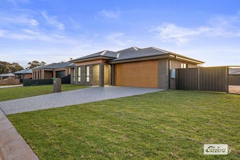 Property photo of 17 Marie Court Howlong NSW 2643