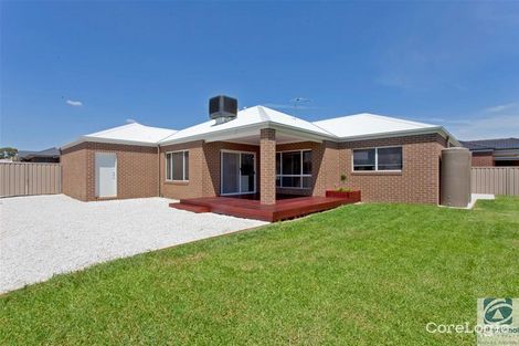 Property photo of 16 Charolais Court Thurgoona NSW 2640