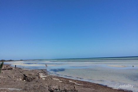 Property photo of 85 Ti-Tree Road The Pines SA 5577