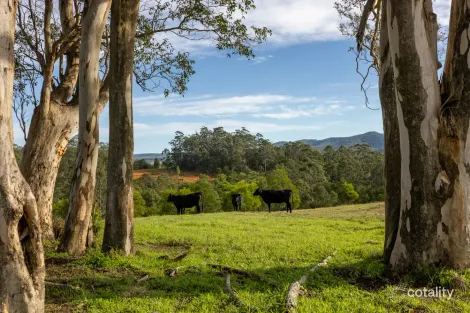 229 Wattley Hill Rd, Wootton, NSW 2423
