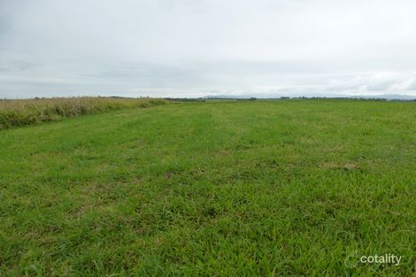 170 Camarlinghi Rd, Daradgee, QLD 4860