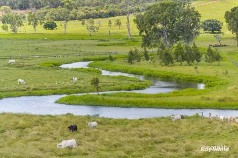 Lot 1553 Lake Mary Rd, Barmoya, QLD 4703