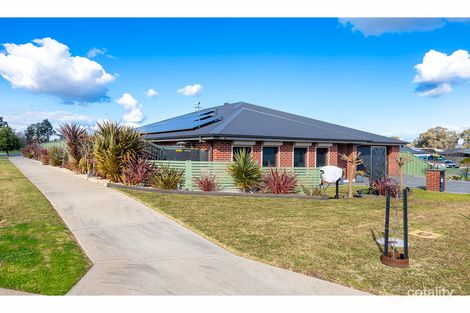 Property photo of 3 Balmain Place Lavington NSW 2641