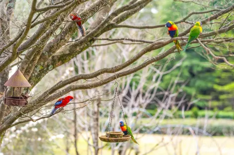 Property photo of 11 Garland Road Bundanoon NSW 2578