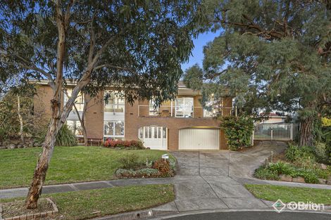 4 Maculosa Ct, Endeavour Hills, VIC 3802