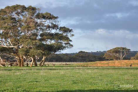 Property photo of 221 Blockers Road Waitpinga SA 5211