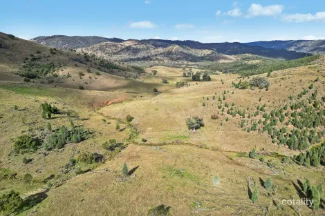 1193 Yarrabin Rd, Yarrabin, NSW 2850