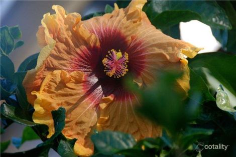 Property photo of 68 Powderworks Road North Narrabeen NSW 2101