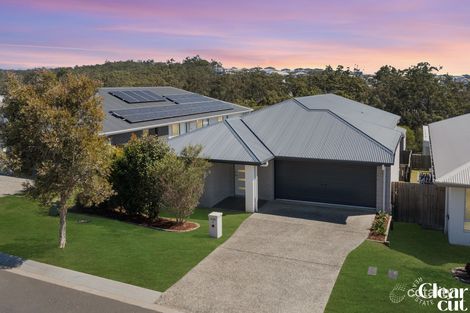 Property photo of 53 Lunar Circuit Spring Mountain QLD 4300