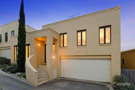 3/41 The Avenue, Belmont, VIC 3216