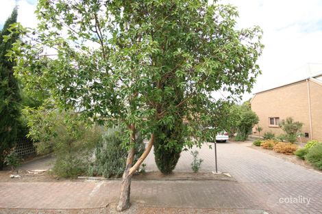 11/17-19 Foundry St, Goodwood, SA 5034