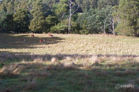 Property photo of 1 Pages Road Calder TAS 7325