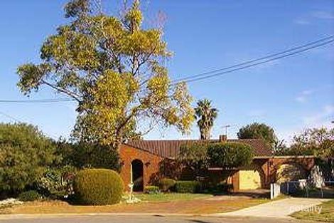 17 Doradeen Cl, Hillman, WA 6168