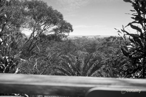 Property photo of 321 Mooloolaba Road Buderim QLD 4556