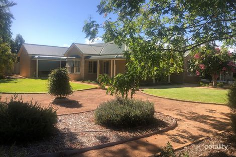 Property photo of 12 Hunt Drive Robinvale VIC 3549
