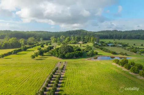 Property photo of 458 Farrawells Road Telegraph Point NSW 2441