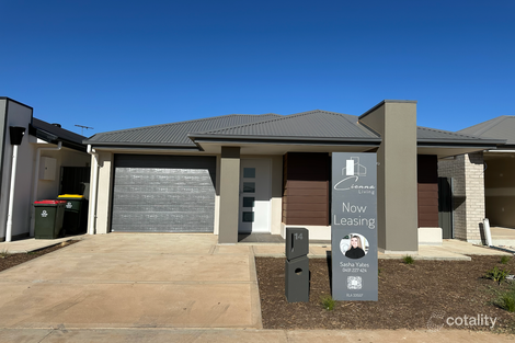14 Trevelyan Ave, Munno Para Downs, SA 5115
