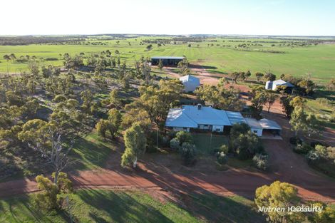984 Lampard-Tremlett Rd, Waddy Forest, WA 6515
