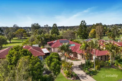 Property photo of 19 Anna Louise Terrace Windaroo QLD 4207