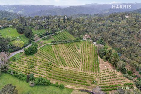 914 Montacute Rd, Montacute, SA 5134