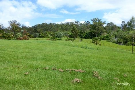 Property photo of 559 Rocks Road Pie Creek QLD 4570