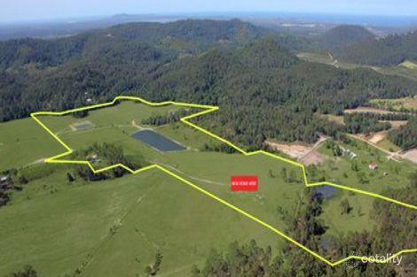 54 Fig Tree Lane, Yandina Creek, QLD 4561