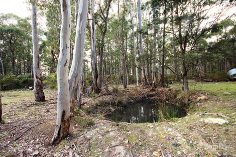 Property photo of 360 Springdale Road Collinsvale TAS 7012