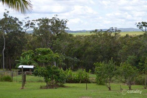 540 Euluma Creek Rd, Julatten, QLD 4871