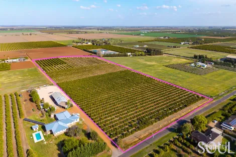 Property photo of 23 Murray Road Yoogali NSW 2680