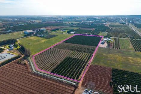 Property photo of 23 Murray Road Yoogali NSW 2680