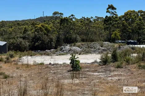 11 Bissett Pl, Heybridge, TAS 7316