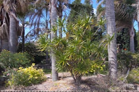 Property photo of 24 Eurabbie Avenue Warabrook NSW 2304