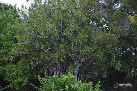 Property photo of 27 Yiada Street Kedron QLD 4031