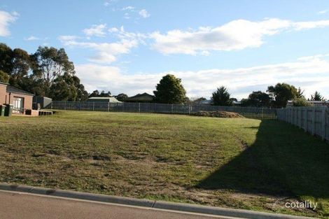 Property photo of 6 Daly Street Lake Bunga VIC 3909